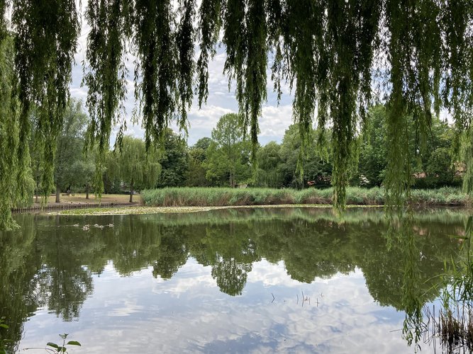 Dorfteich Lichtenrade