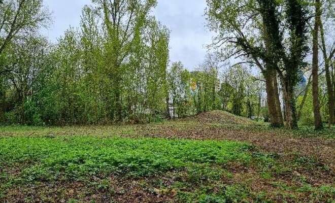 Gerodete Fläche für den Spielplatzneubau