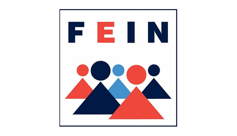 FEIN-Einzelmaßnahmen