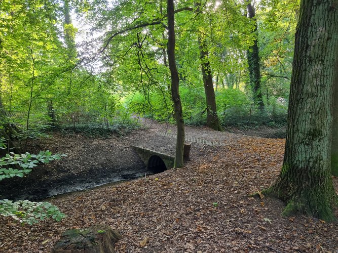 Bild vom Steinbergpark