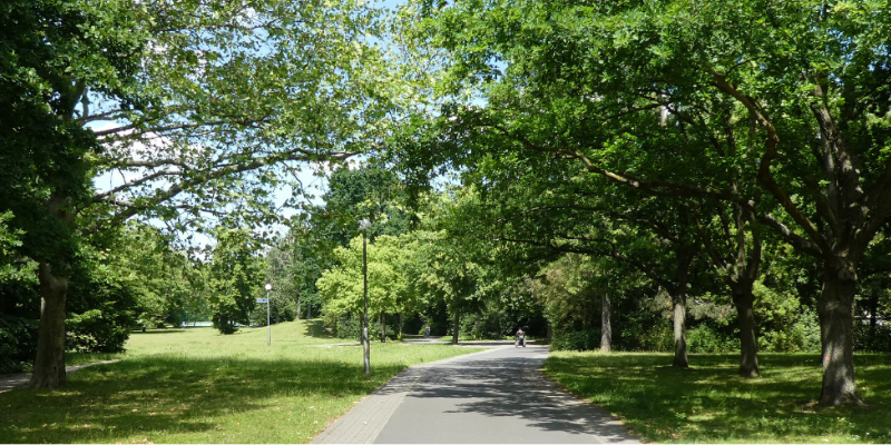 Park mit Böumen und Grünflächen und einem asphaltiertem Gehweg