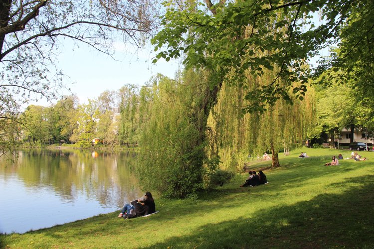 Freiraum am Schäfersee