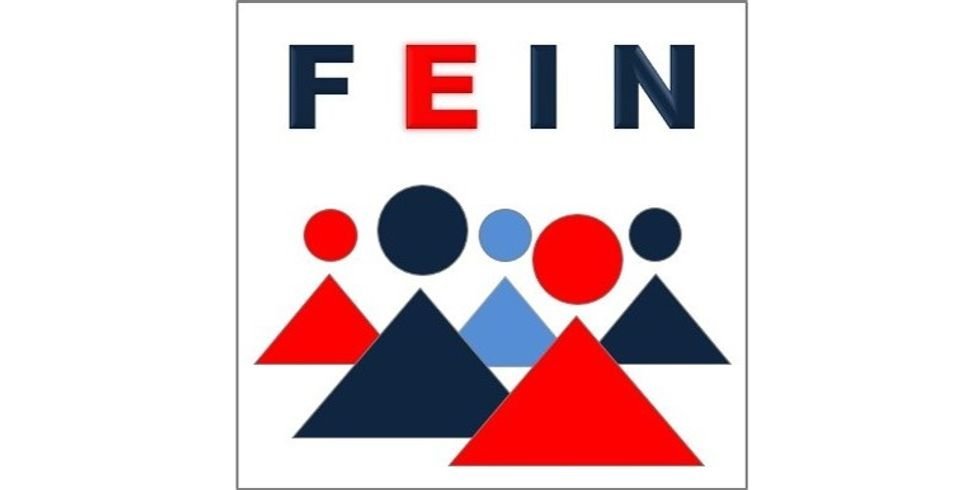 FEIN Logoabbildung