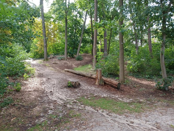 Waldparkanlagen nach einem Starkregenereignis