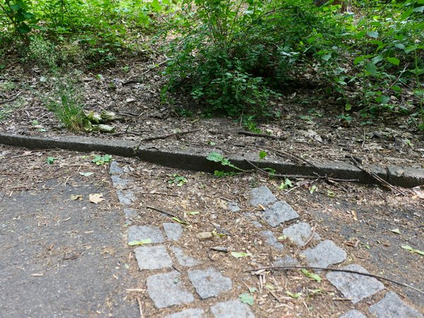 Bild einer Einfassung eines Weges