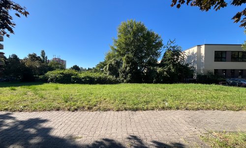 Grünfläche mit Gehweg im Vordergrund, Bäumen in der Mitte und Gebäuden im Hinter