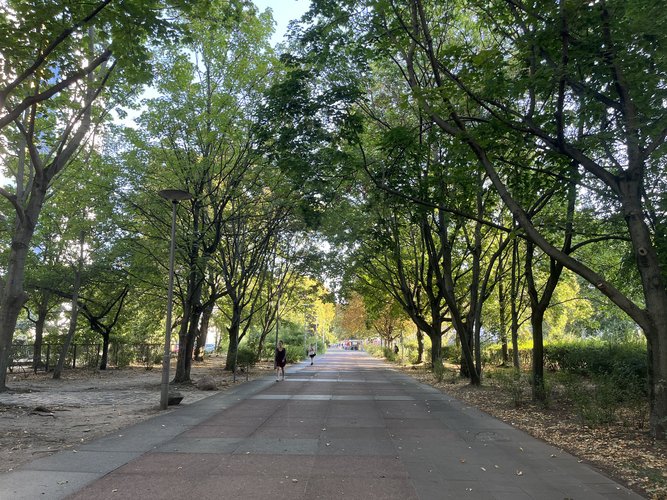 Schillingpromenade mit Bäumen auf beiden Seiten