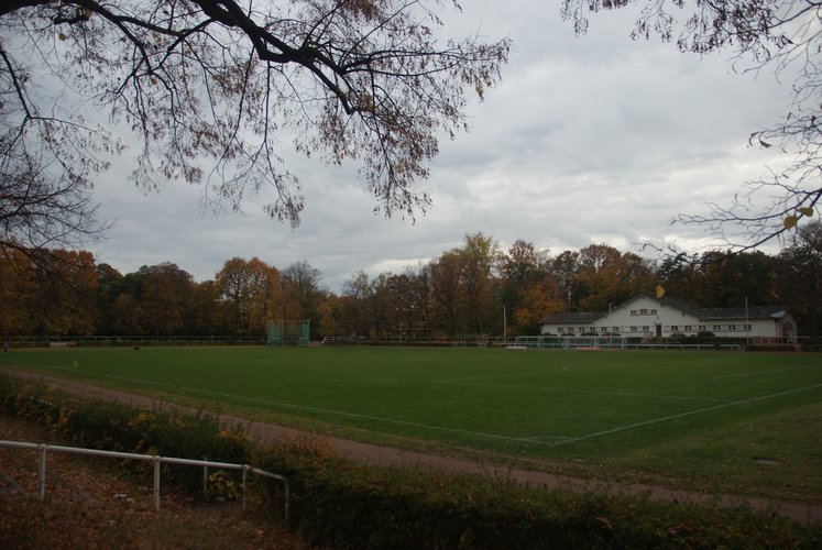 Die Sportanlage Stadion Buschallee bei bewölktem Wetter ohne Nutzende.