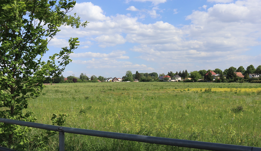 Blick in die Landschaft und auf die Bebauung Blankenburgs