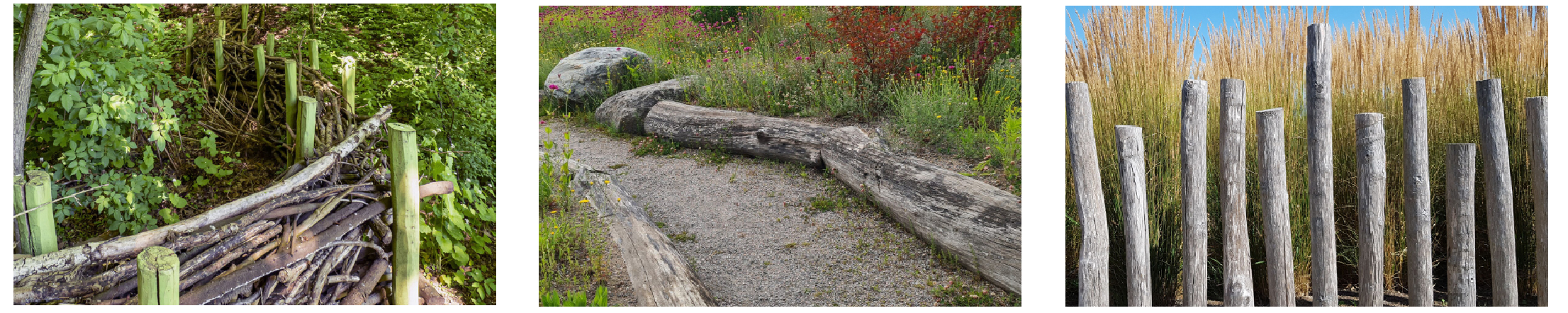 Benjeshecken, quer liegende Baumstämme und Holzpfosten