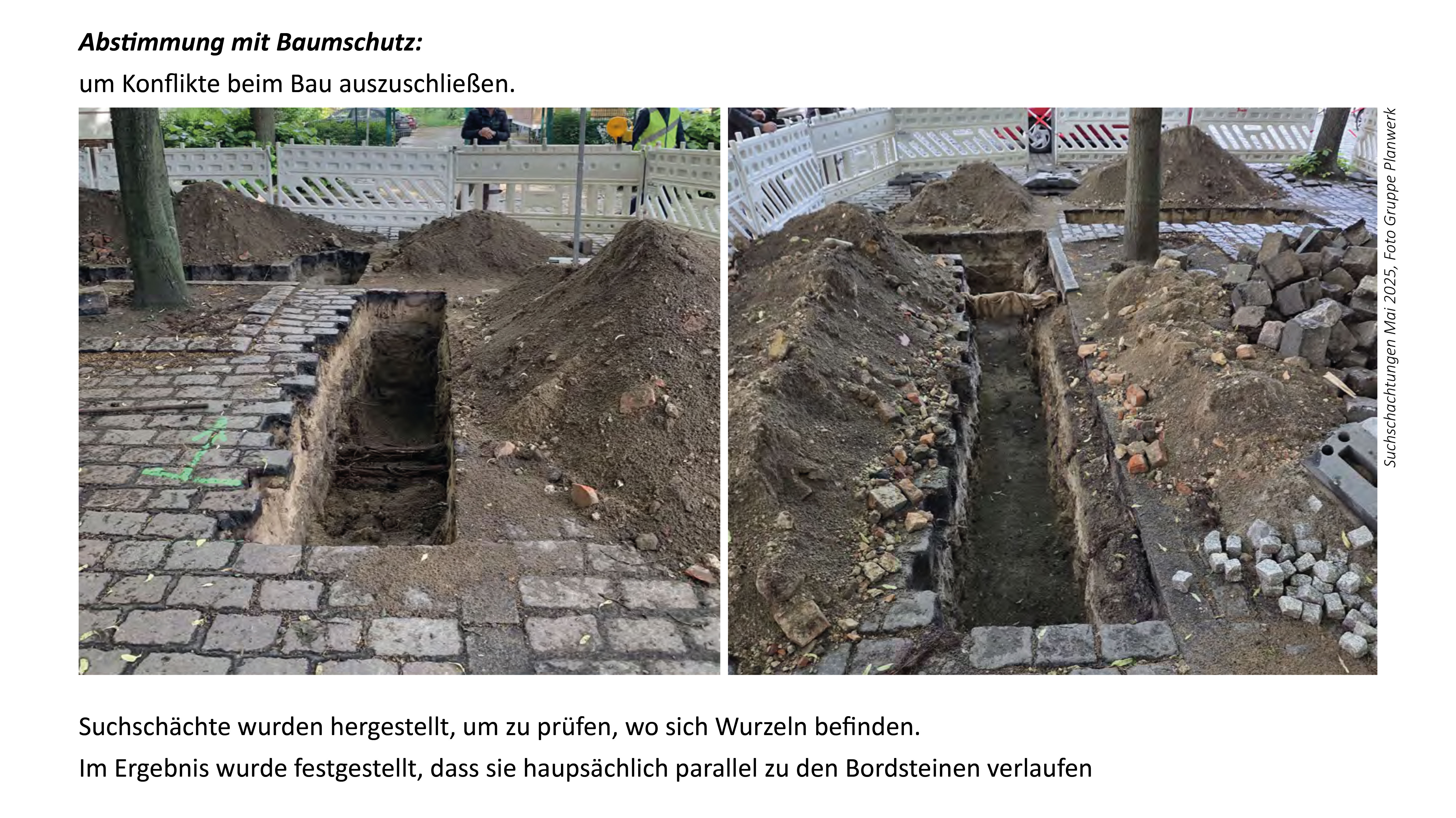 Baumschutz