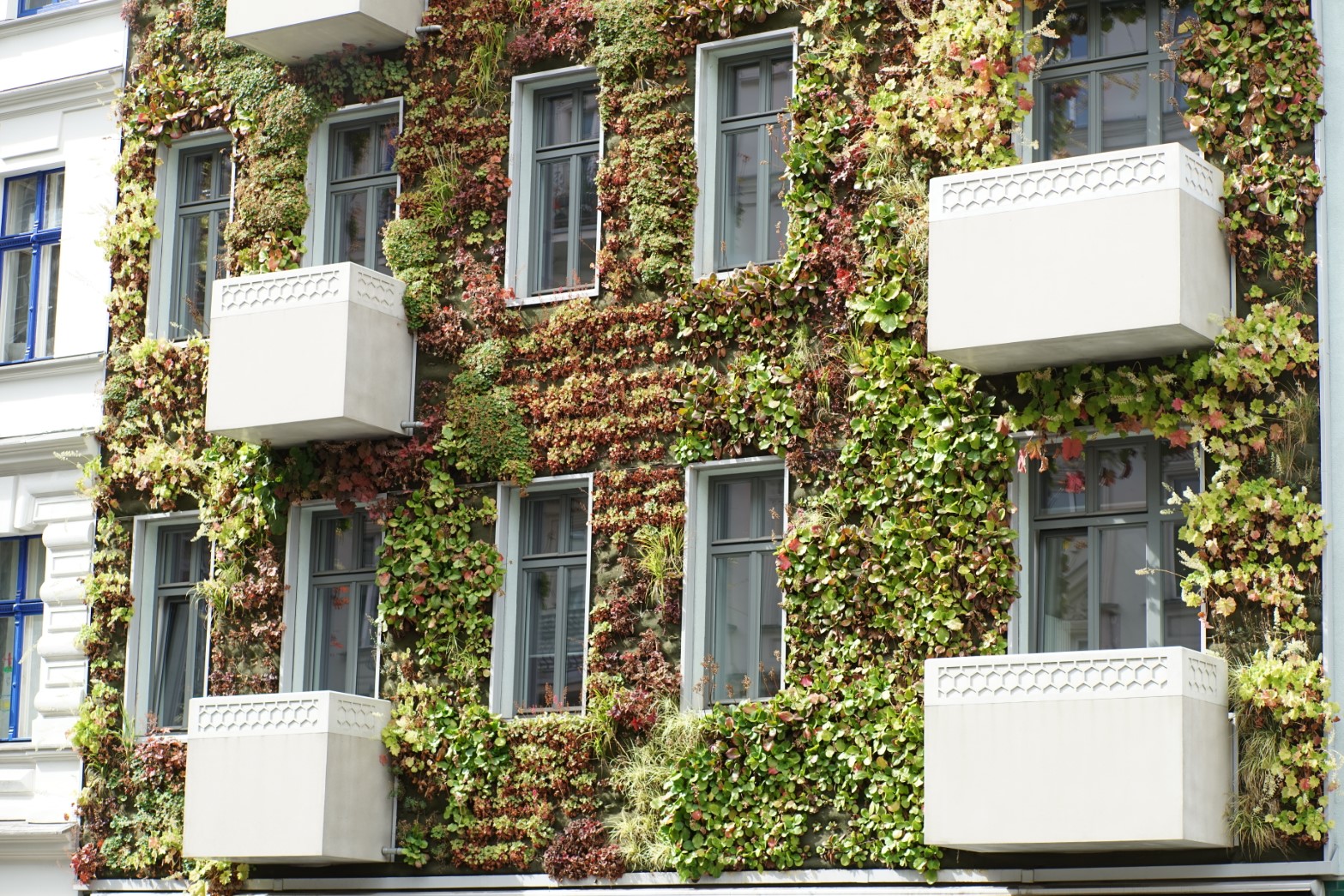 Fassadenbegrünung in Berlin, Foto: SenStadtWohn 2020