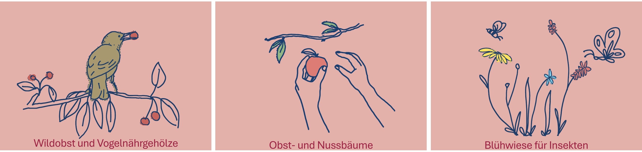 Beispiele für essbare Pflanzen (Wildobst und Vogelnährgehölze, Obst- und Nussbäume, Blühwiese für Insekten)