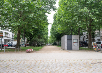 Fussweg gesäumt von Bäumen auf beiden Seiten