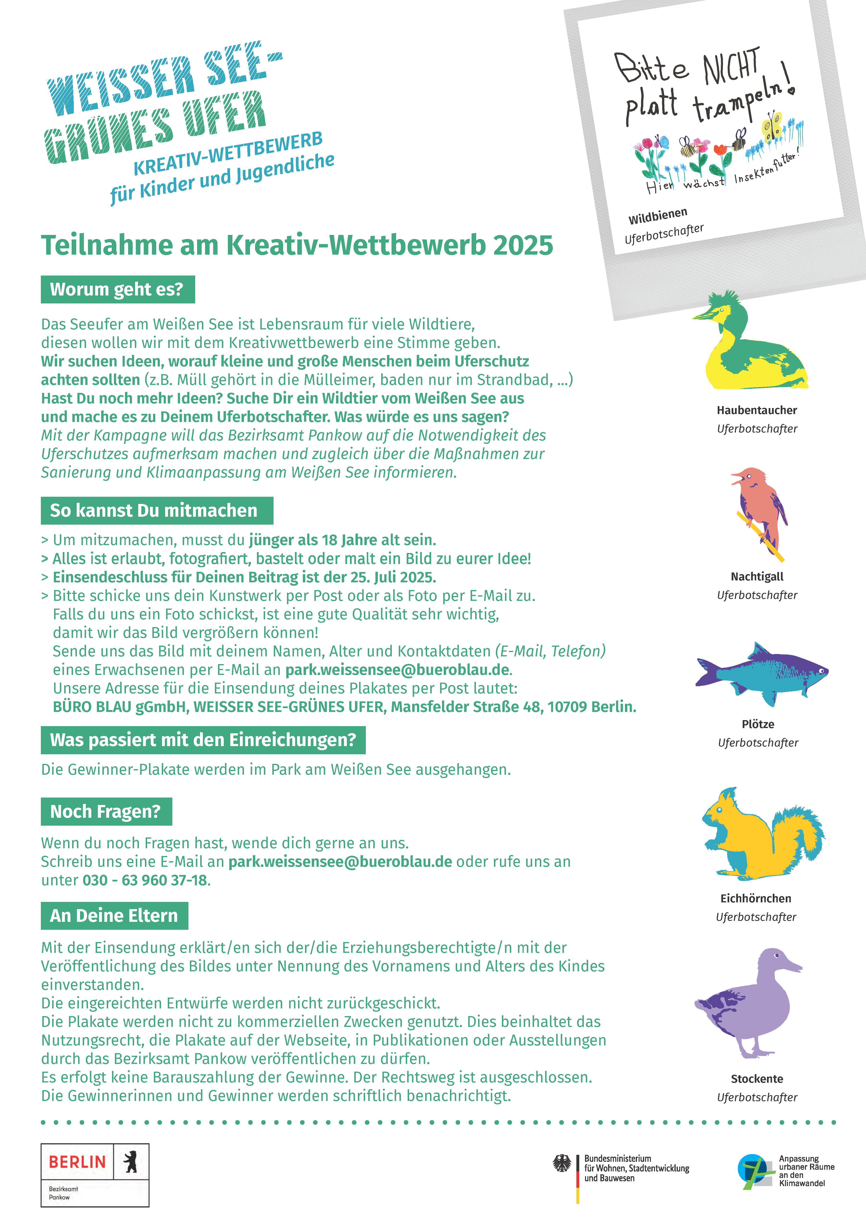 Seite 2 des Kreativwettbewerbs