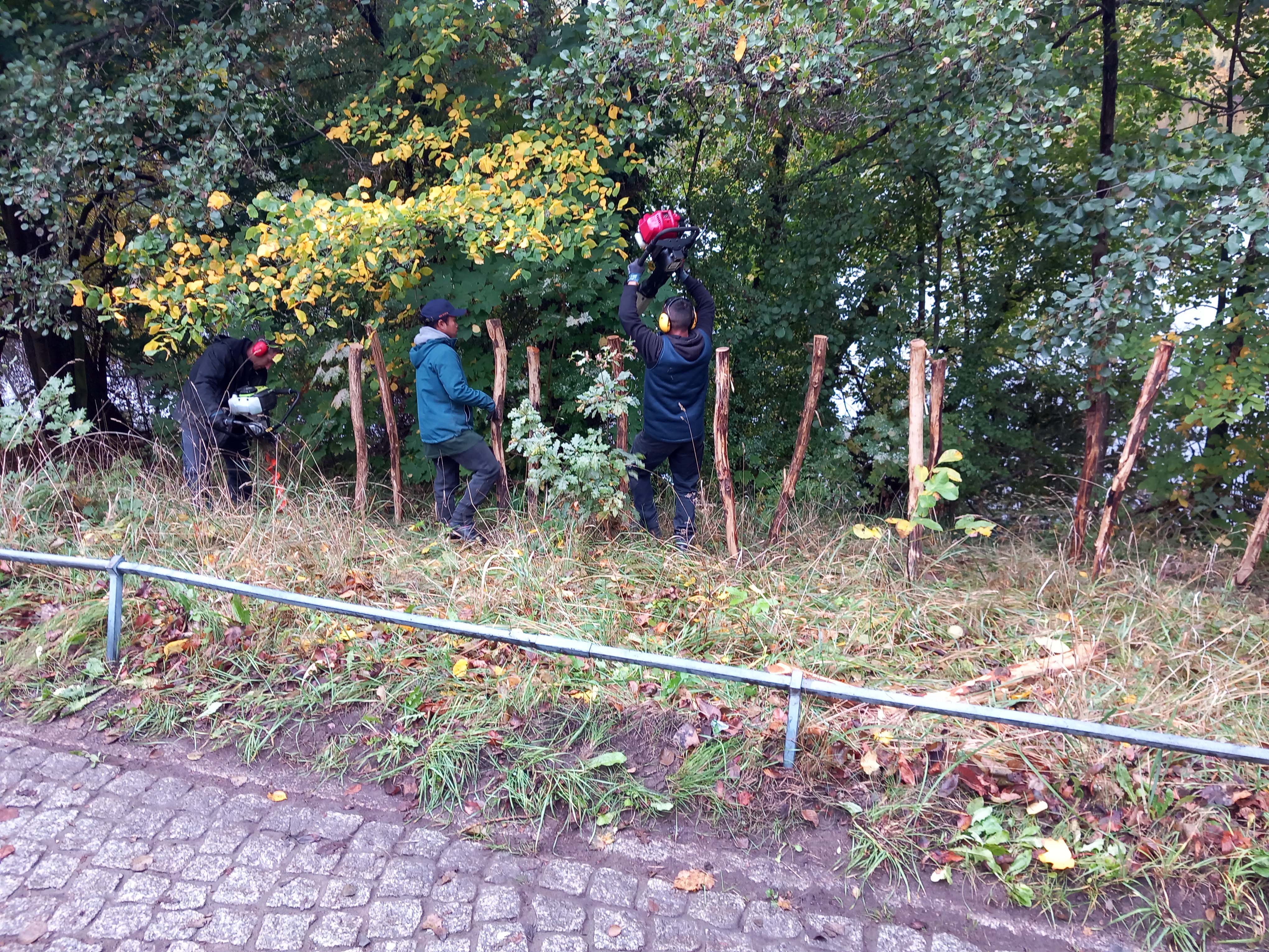 Bauarbeiten zur Ufersanierung